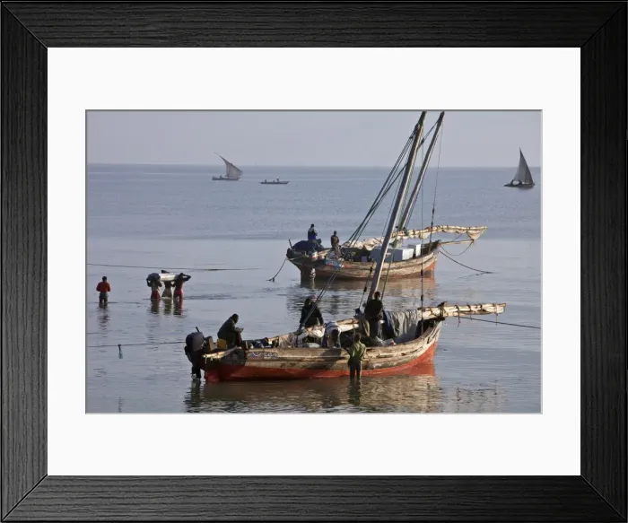 Framed Print : Off-loading cargo from dhows from Zanzibar at dawn Framed Print : Off-loading cargo from dhows from Zanzibar at dawn