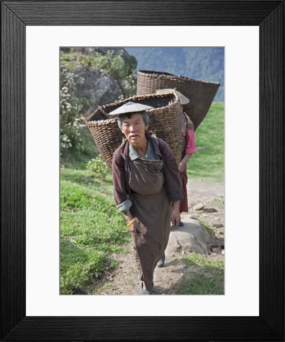 Framed Print : Women with large bamboo baskets go to collect produce from their hillside farms in the Mangde Chhu Valley Framed Print : Women with large bamboo baskets go to collect produce from their hillside farms in the Mangde Chhu Valley