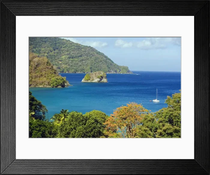 Framed Print : The Caribbean, Trinidad and Tobago, Tobago Island