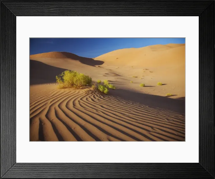 Framed Print : Oman, Empty Quarter. The martian-like landscape of the Empty Quarter dunes Framed Print : Oman, Empty Quarter. The martian-like landscape of the Empty Quarter dunes