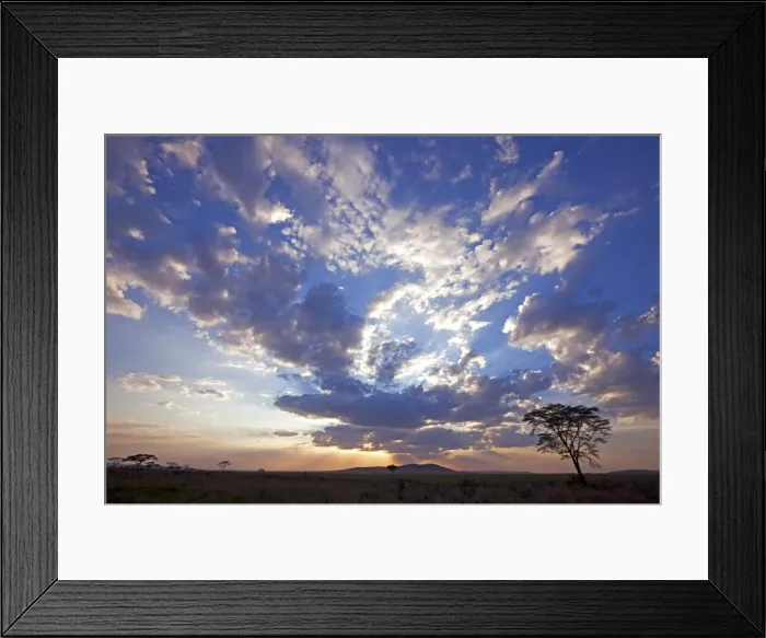Framed Print : Tanzania, Serengeti. A stunning sunset over the Serengeti plains, near Seronera Framed Print : Tanzania, Serengeti. A stunning sunset over the Serengeti plains, near Seronera