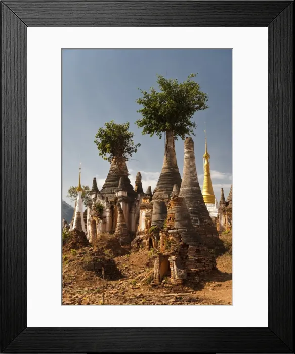 Framed Print : Myanmar, Inle Lake, Indein. West of Ywama village on Inle Lake lie the crumbling ruins of Indein Framed Print : Myanmar, Inle Lake, Indein. West of Ywama village on Inle Lake lie the crumbling ruins of Indein
