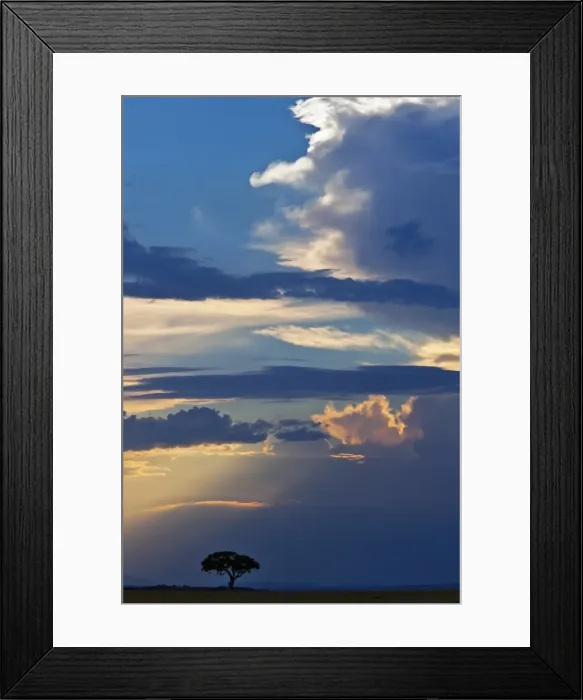 Framed Print : In the late afternoon, the sun breaks through a stormy sky in Masai-Mara National Reserve