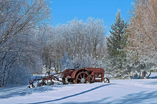 1937 McCormick Deering tractor with plough in a field surrounded by trees covered by heavy hoarfrost Near Deacon's Corner, Manitoba, Canada
