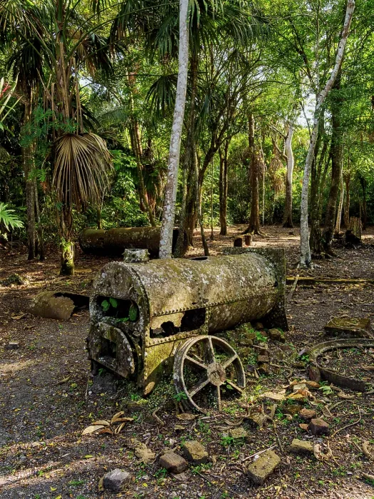 Framed Print : 19th-Century Sugar Mill Ruins near Lamanai Archaeological Reserve, Indian Church, Orange Walk District, Belize Framed Print : 19th-Century Sugar Mill Ruins near Lamanai Archaeological Reserve, Indian Church, Orange Walk District, Belize