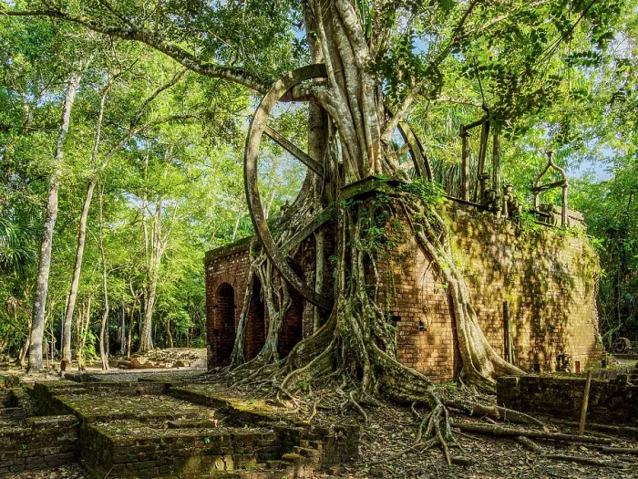 Framed Print : 19th-Century Sugar Mill Ruins near Lamanai Archaeological Reserve, Indian Church, Orange Walk District, Belize Framed Print : 19th-Century Sugar Mill Ruins near Lamanai Archaeological Reserve, Indian Church, Orange Walk District, Belize