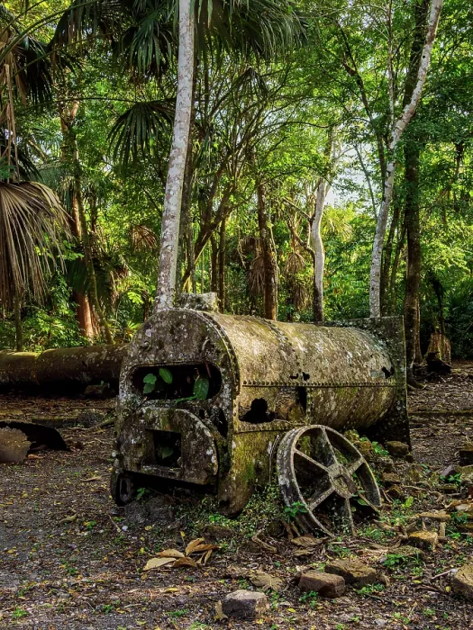 Framed Print : 19th-Century Sugar Mill Ruins near Lamanai Archaeological Reserve, Indian Church, Orange Walk District, Belize
