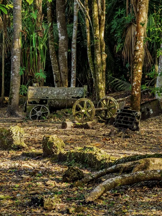 Framed Print : 19th-Century Sugar Mill Ruins near Lamanai Archaeological Reserve, Indian Church, Orange Walk District, Belize