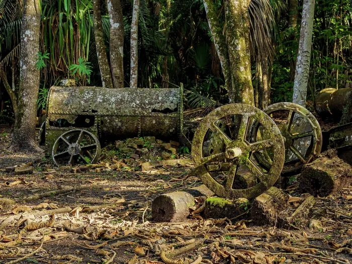 Framed Print : 19th-Century Sugar Mill Ruins near Lamanai Archaeological Reserve, Indian Church, Orange Walk District, Belize Framed Print : 19th-Century Sugar Mill Ruins near Lamanai Archaeological Reserve, Indian Church, Orange Walk District, Belize