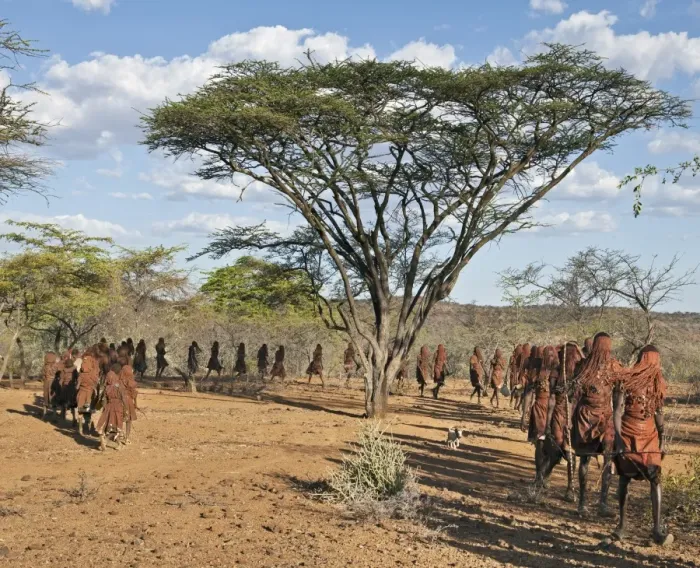 Framed Print : After 2-3 months seclusion, Pokot initiates leave their camp in single file to celebrate Ngetunogh Framed Print : After 2-3 months seclusion, Pokot initiates leave their camp in single file to celebrate Ngetunogh