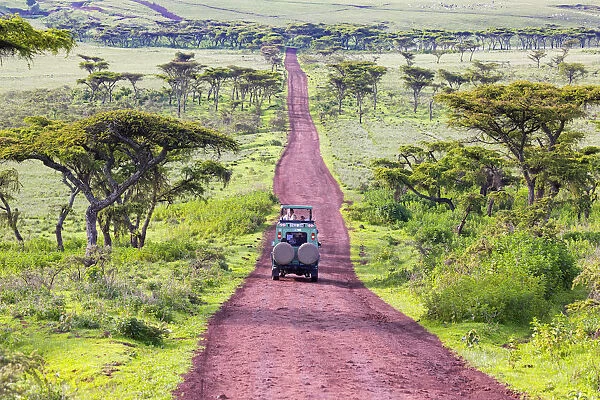 A 4-wheel drive safari vehicle drives along a red track near the Ngorongoro Crater