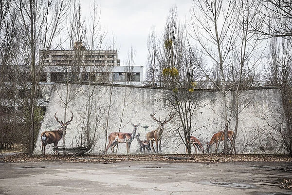 The abandoned city of Pripyat, Chernobyl Exclusion Zone, Ukraine