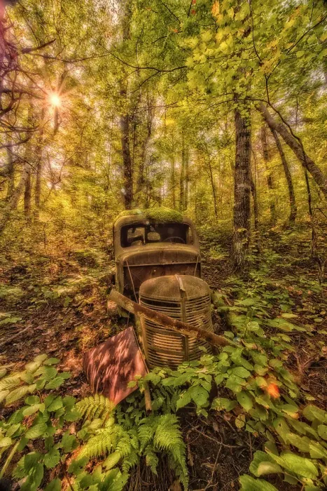 Framed Print : Abandoned truck in the woodlands of Algonquin Provincial Park, Ontario, Canada Framed Print : Abandoned truck in the woodlands of Algonquin Provincial Park, Ontario, Canada