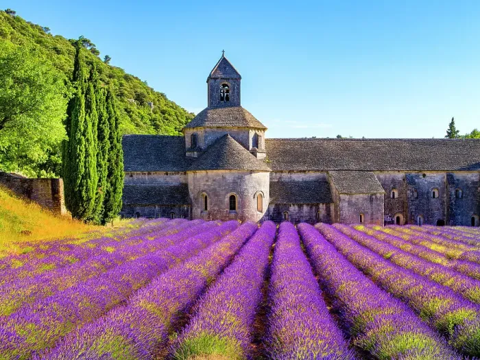 Framed Print : Abbaye de Senanque, Lavender Field, Provence, Alpes Cotes d'Azur, France Framed Print : Abbaye de Senanque, Lavender Field, Provence, Alpes Cotes d'Azur, France