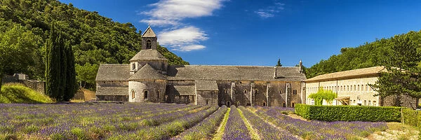 Abbaye de Senanque, near Gordes, Provence, France