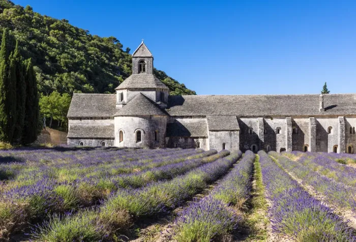 Framed Print : Abbaye de Senanque, Provence, France Framed Print : Abbaye de Senanque, Provence, France