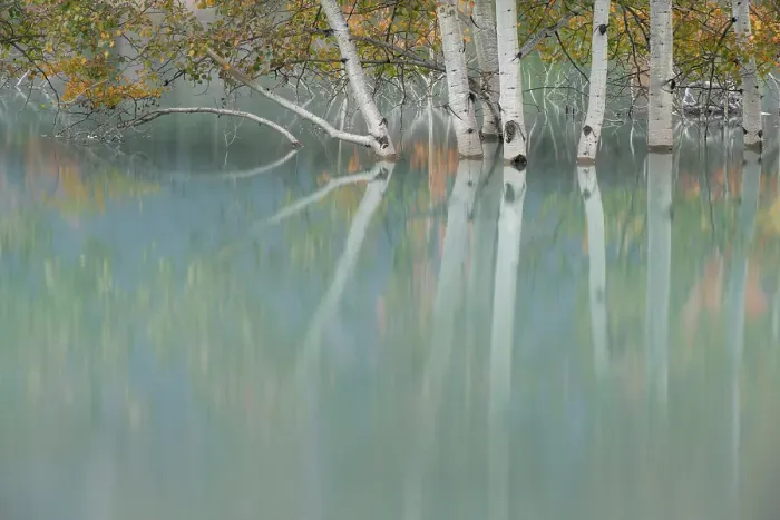 Framed Print : Abraham Lake, Clearwater County, Alberta, Canada Framed Print : Abraham Lake, Clearwater County, Alberta, Canada