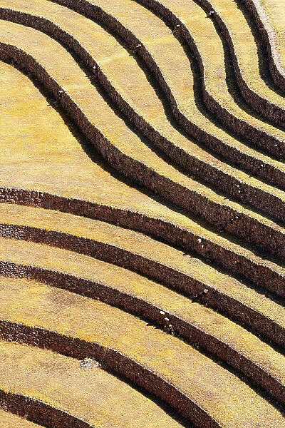 Abstract of terraces in Moray, Sacred Valley, Urubamba Province, Cusco Region, Peru