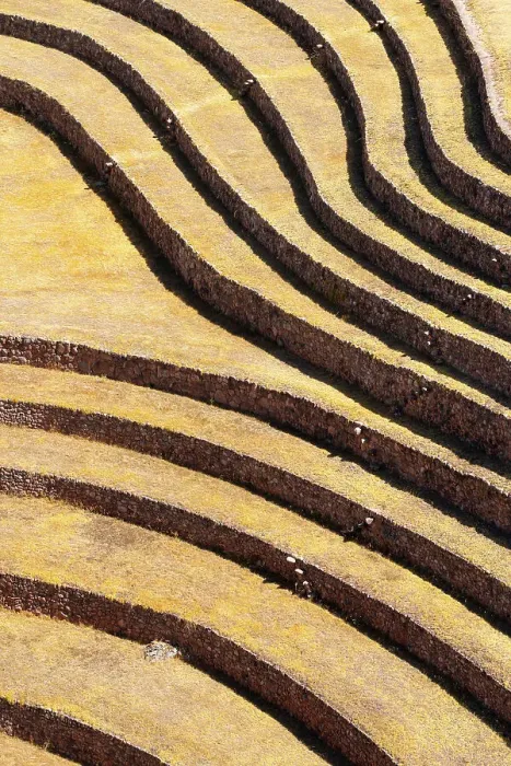 Framed Print : Abstract of terraces in Moray, Sacred Valley, Urubamba Province, Cusco Region, Peru Framed Print : Abstract of terraces in Moray, Sacred Valley, Urubamba Province, Cusco Region, Peru