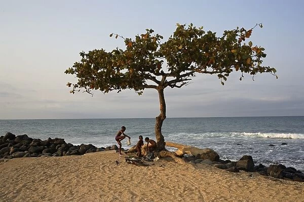 An Acacia tree on the edge of the city of Sao Tome