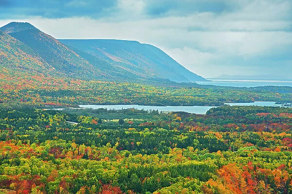 Acadian forest in autumn foliage Cape Breton Highlands National Park, Nova Scotia, Canada