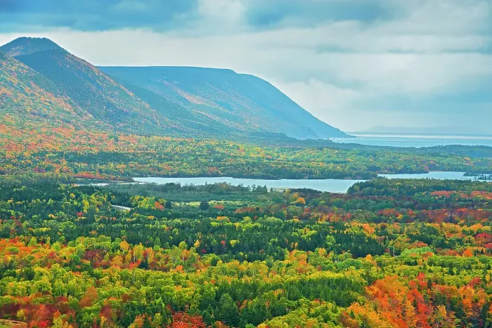 Framed Print : Acadian forest in autumn foliage Cape Breton Highlands National Park, Nova Scotia, Canada Framed Print : Acadian forest in autumn foliage Cape Breton Highlands National Park, Nova Scotia, Canada