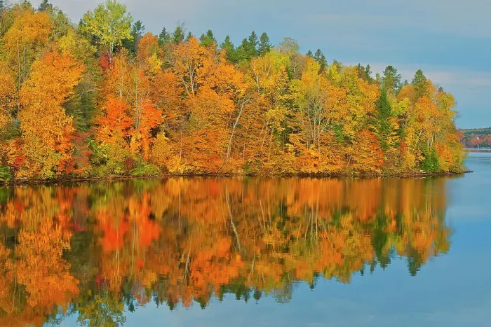 Framed Print : Acadian forest in autumn foliage reflected in the Saint John River Mactaquac, New Brunswick, Canada Framed Print : Acadian forest in autumn foliage reflected in the Saint John River Mactaquac, New Brunswick, Canada