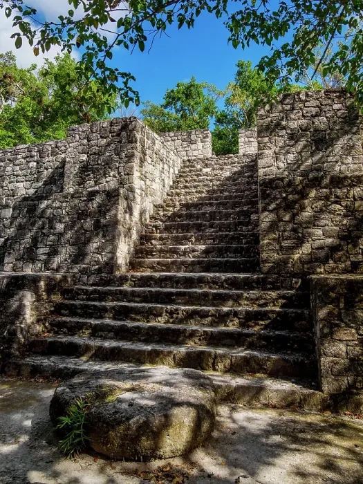 Framed Print : Acropolis Chik Naab, Calakmul Archaeological Site, Campeche State, Mexico Framed Print : Acropolis Chik Naab, Calakmul Archaeological Site, Campeche State, Mexico
