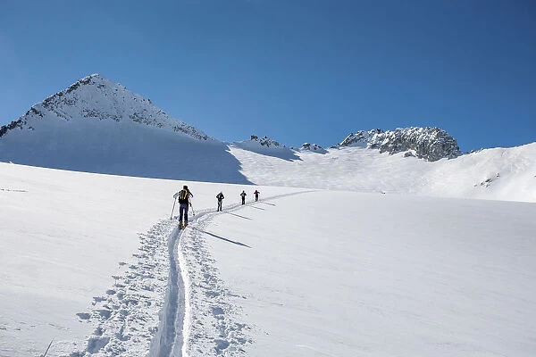 Adamello group, ski mountaineering at Pisgana glacier, Lombardy, Italy