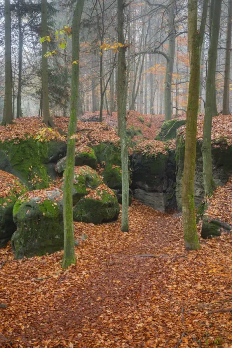 Framed Print : Adamovo loze rock formation in autumn, Hruba Skala, Semily District, Liberec Region, Bohemia, Czech Republic Framed Print : Adamovo loze rock formation in autumn, Hruba Skala, Semily District, Liberec Region, Bohemia, Czech Republic