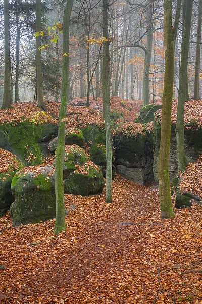 Adamovo loze rock formation in autumn, Hruba Skala, Semily District, Liberec Region, Bohemia, Czech Republic