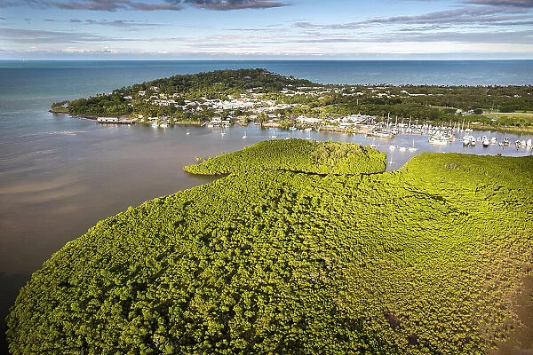 Aerial of mangroves, marina and village, Port Douglas, Queensland, Australia