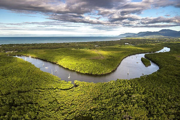 Aerial of mangroves and Packers Creek, Port Douglas, Queensland, Australia