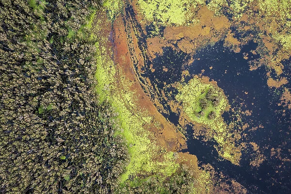 Aerial of Mary River floodplain, Bamurru Plains, Northern Territory, Australia