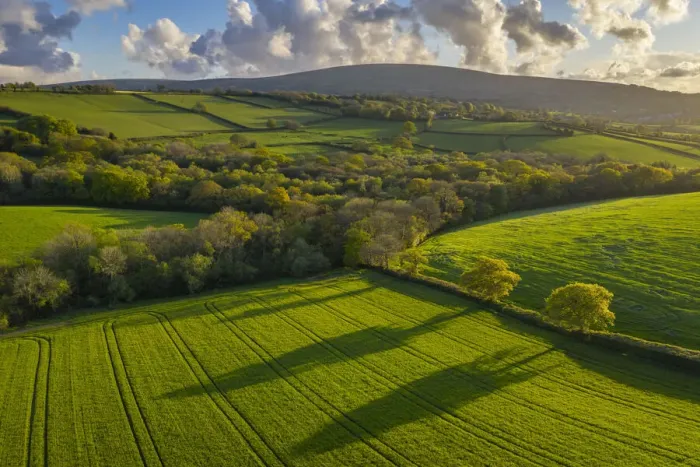 Framed Print : Aerial photo of rolling countryside in evening light, Livaton, Devon, England Framed Print : Aerial photo of rolling countryside in evening light, Livaton, Devon, England