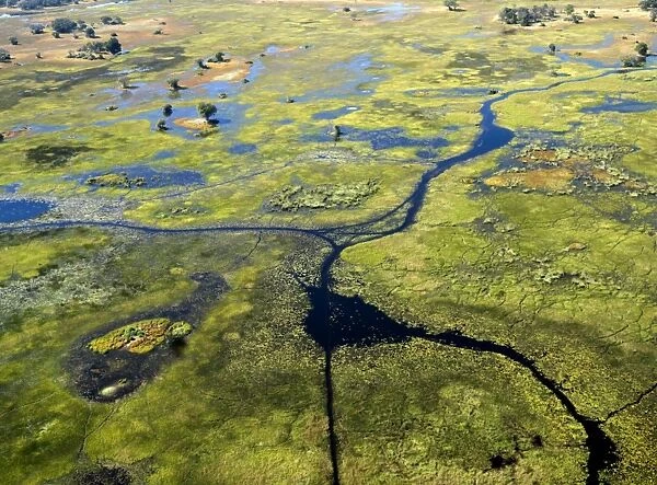 An aerial photograph of the Okavango Delta