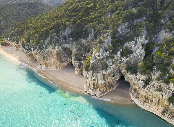 Aerial view of the amazing beach and caves of Cala Luna, Orosei gulf, Nuoro district