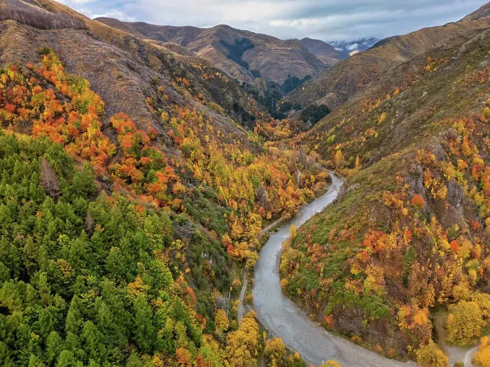 Framed Print : Aerial View over Arrow River in Autumn, Arrowtown, South Island, New Zealand
