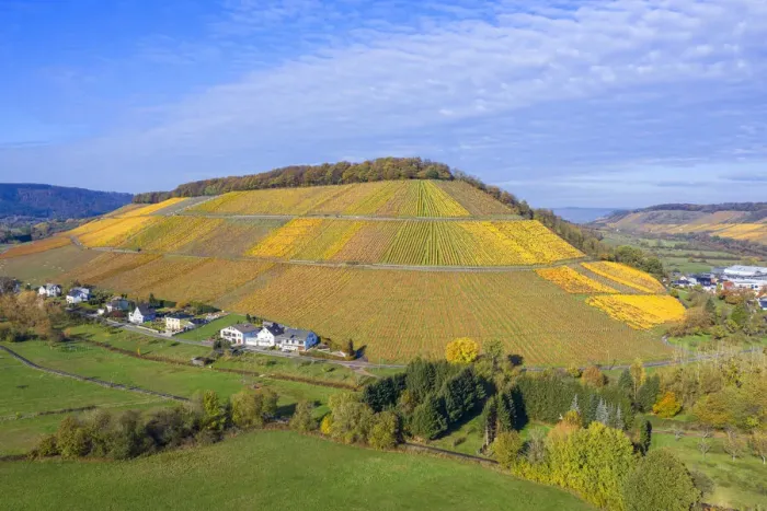 Framed Print : Aerial view at the Ayler Kupp vineyard near Saarburg, Rhineland-Palatinate, Germany Framed Print : Aerial view at the Ayler Kupp vineyard near Saarburg, Rhineland-Palatinate, Germany