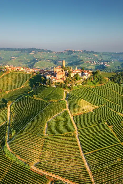 Framed Print : Aerial view of Castiglione Falletto village surrounded by vineyards. Langhe region, Cuneo province, Piedmont, Italy Framed Print : Aerial view of Castiglione Falletto village surrounded by vineyards. Langhe region, Cuneo province, Piedmont, Italy