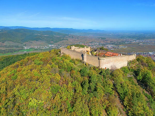 Aerial view at the castle Hohlandsberg near Colmar, Haut-Rhin, Alsace, Alsace-Champagne-Ardenne-Lorraine, Grand Est, France