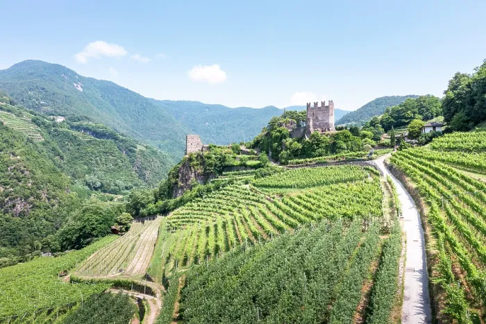 Framed Print : Aerial view of a castle and vineyards in Trentino, Italy. A scenic landscape. Segonzano Framed Print : Aerial view of a castle and vineyards in Trentino, Italy. A scenic landscape. Segonzano