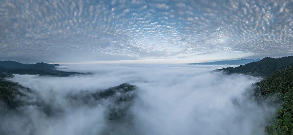 Aerial view of The Cloudforest, Mashpi, Reserva Mashpi Amagusa, Pichincha, Ecuador