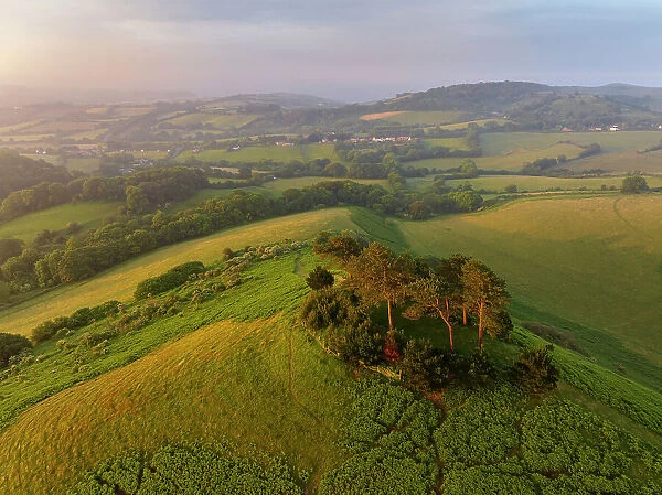 Aerial view of Colmer's Hill at dawn on a summer morning, West Dorset, England. Summer (June) 2023