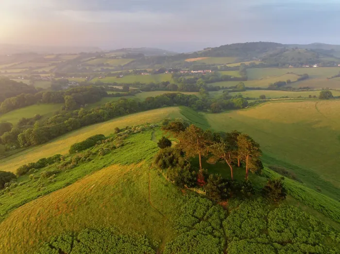 Framed Print : Aerial view of Colmer's Hill at dawn on a summer morning, West Dorset, England. Summer (June) 2023 Framed Print : Aerial view of Colmer's Hill at dawn on a summer morning, West Dorset, England. Summer (June) 2023