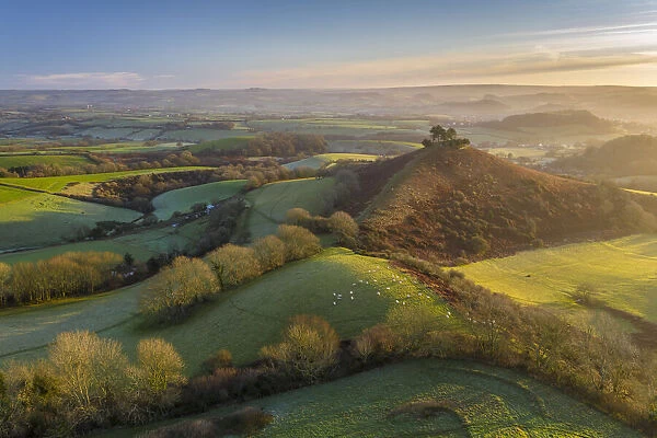 Aerial view of Colmers Hill at dawn on a sunny winter morning, Symondsbury, Dorset, England. Winter (January) 2022
