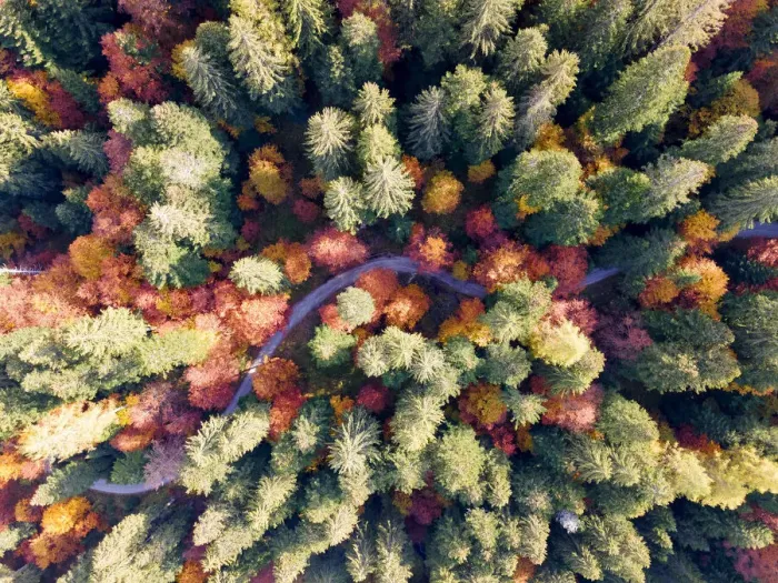 Framed Print : Aerial view of a colorful forest in Autumn season Brenta valley in Madonna di Campiglio Framed Print : Aerial view of a colorful forest in Autumn season Brenta valley in Madonna di Campiglio