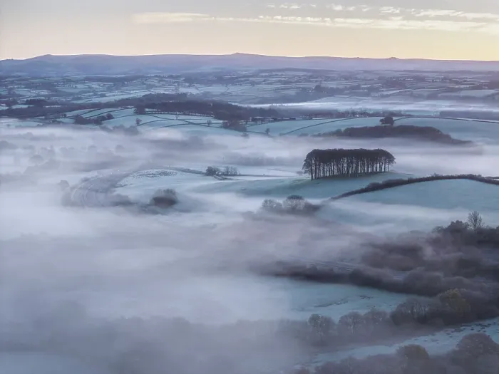 Framed Print : Aerial view of Cookworthy Knapp (Nearly Home Trees), Lifton in West Devon, England. Autumn (November) 2023 Framed Print : Aerial view of Cookworthy Knapp (Nearly Home Trees), Lifton in West Devon, England. Autumn (November) 2023