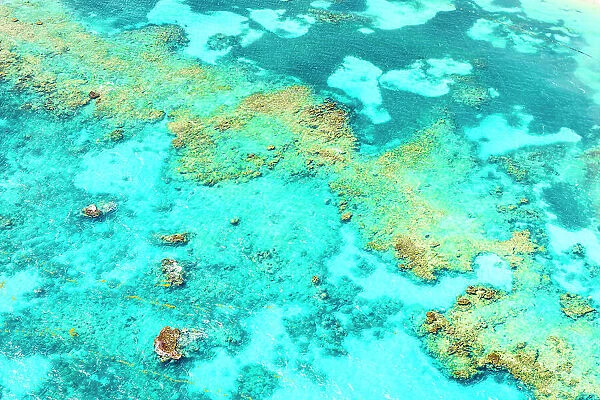 Aerial view of coral reef in the crystal transparent sea, Antigua, Antigua & Barbuda, Caribbean, West Indies