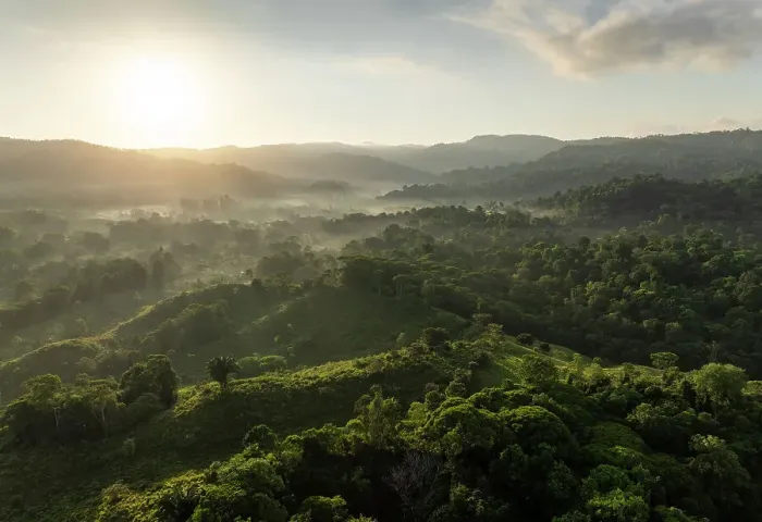 Framed Print : Aerial view of Corcovado National Park, Puntarenas Province, Costa Rica, Central America Framed Print : Aerial view of Corcovado National Park, Puntarenas Province, Costa Rica, Central America